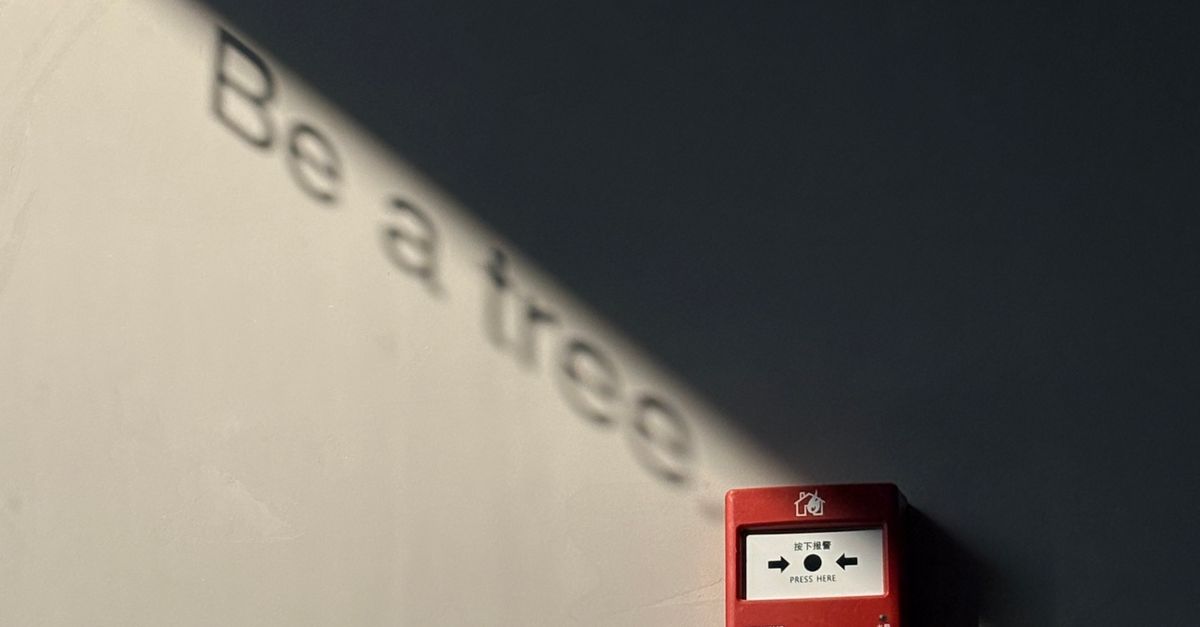 Step-by-Step Guide to Calibrating Intruder Alarm Sensors